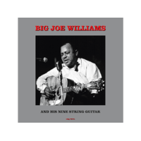 NOT NOW Big Joe Williams - Big Joe Williams And His Nine String Guitar (Vinyl LP (nagylemez))