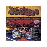 CHRYSALIS The Waterboys - Room To Roam (2008 Remaster) (Vinyl LP (nagylemez))