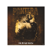 WARNER Pantera - Far Beyond Driven (Vinyl LP (nagylemez))
