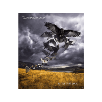 COLUMBIA David Gilmour - Rattle That Lock (CD + DVD)