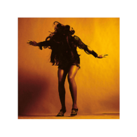 DOMINO The Last Shadow Puppets - Everything You've Come to Expect (CD)