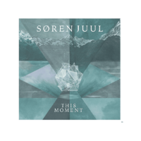4AD Søren Juul - This Moment (Vinyl LP (nagylemez))