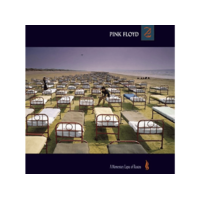 PLG Pink Floyd - A Momentary Lapse of Reason (Vinyl LP (nagylemez))