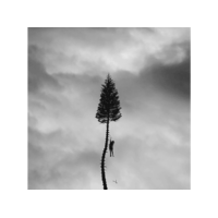 CONCORD Manchester Orchestra - A Black Mile To The Surface (CD)