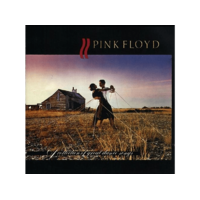 PARLOPHONE Pink Floyd - A Collection of Great Dance Songs (Vinyl LP (nagylemez))
