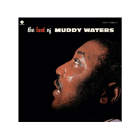 WAX TIME Muddy Waters - Best Of (Limited Editon) (High Quality) (Vinyl LP (nagylemez))