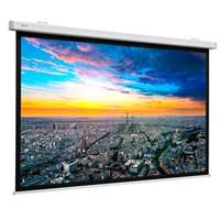 PROJECTA Compact Electrol screen, Video (4:3), 228x300, Matt white, Wall Switch