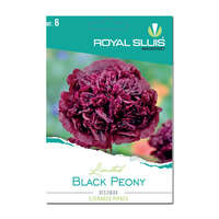 ROYAL SLUIS Black Peony Díszmák Royal Sluis Limited