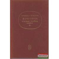  Borostyán -Schubert életének regénye