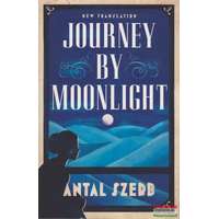 Alma Classics Journey by Moonlight / New Translation