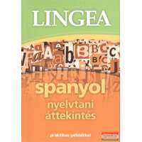 Lingea Spanyol nyelvtani áttekintés - Praktikus példákkal