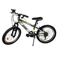 BNB Bike BNB-Bike Arrow 20"-os Gyerek MTB Kerékpár - Antracit
