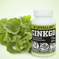 Javallat JAVALLAT® Ginkgo kapszula 60 db
