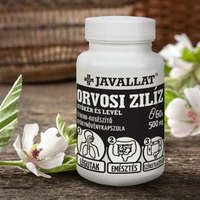 Javallat JAVALLAT® Orvosi zilíz gyökér és levél 60 db