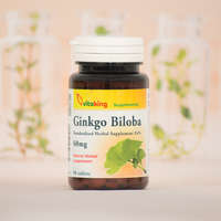 Vitaking Vitaking GINKGO BILOBA 60MG 90 db