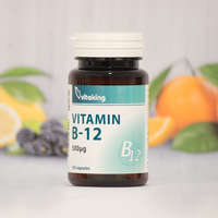 Vitaking Vitaking B-12 VITAMIN 100 db