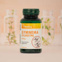 Vitaking Vitaking GYMNEMA SYLVESTRE 90 db