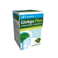 InnoPharm InnoPharm Ginkgo Plus Ginkgo biloba 120 mg és magnézium filmtabletta 60 db