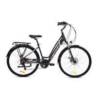 Capriolo CAPRIOLO E-BIKE E-CITY LADY - L , Silver, 2025