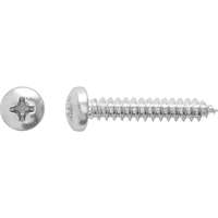 Panhead univerzális csavar PH-behajtással 2,9 mm x 13 mm