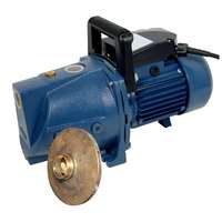 Elpumps Elpumps kerti szivattyú JPV 1500B inox lapáttal 1500 W
