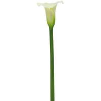  Művirág kála krémszínű 82 cm