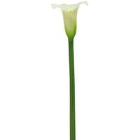 Művirág kála krémszínű 82 cm