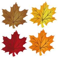 Juharlevél tányéralátét színes 39 cm x 41 cm többféle változatban