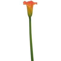  FlowerPower Mű kála narancssárga 82 cm