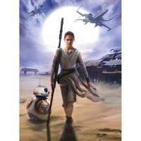 Komar Komar fotótapéta STAR WARS Rey 184 cm x 254 cm FSC