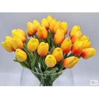 Bloomi Gumi tulipán (sárga, piros cirmos)
