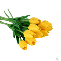 Bloomi Gumi tulipán (sárga)