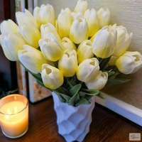Bloomi Gumi tulipán (cirmos sárga)