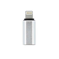 OEM Adapter Charger Typ C - iPhone Lightning 8-Pin Silver
