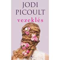 Jodi Picoult Jodi Picoult - Vezeklés