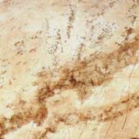 Forest Munkalap vízzáró profil WY6 GL Sand mohave Barna márvány