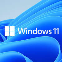 Microsoft Microsoft Windows 11 Home 64-bit HUN DSP OEI DVD (KW9-00641)