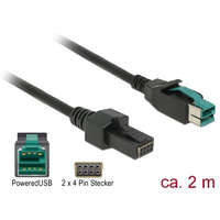 DeLock Delock Powered USB kábel apa 12 V > 2 x 4 tűs apa 2m (85483)