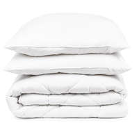 4Home 4Home Aloe Vera paplan és párnák szett, 200 x 220 cm, 2 db 70 x 90 cm