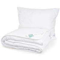 4Home 4Home Aloe Premium paplan és párna szett, 140 x 220 cm, 70 x 90 cm, 140 x 220 cm, 70 x 90 cm