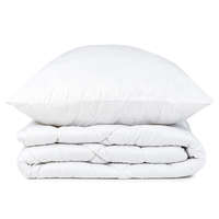 4Home 4Home Aloe Vera paplan párna szett, 140 x 220 cm, 70 x 90 cm