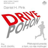 Anag Drive – Překvapivá pravda o tom, co nás motivuje!
