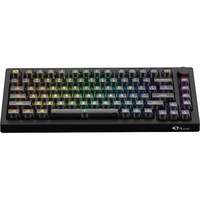 AKKO AKKO 5075B Plus Clear Black (AKKO V3 Pro Piano switches)