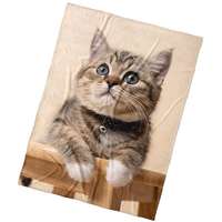 Kaptan Kaptan Microplush takaró Cica Roller 150 × 200 cm