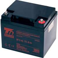 T6 Power T6 Power NP12-45, 12 V, 45 Ah