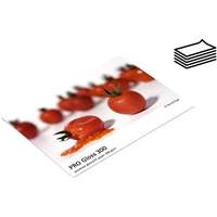FOMEI FOMEI PRO Gloss 300 A2+ (43.2 x 63.5cm)/20