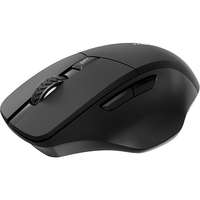 Rapoo Rapoo M610 Multi-mode black