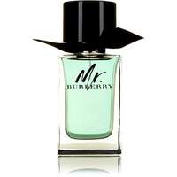 BURBERRY BURBERRY Mr. Burberry EdT 100 ml