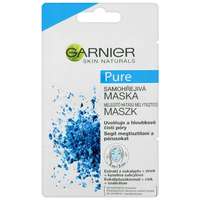 GARNIER GARNIER Pure Mask 2 × 6 ml