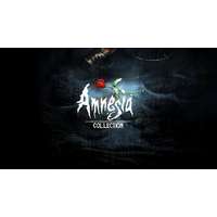 Plug in Digital Amnesia Collection - PC DIGITAL